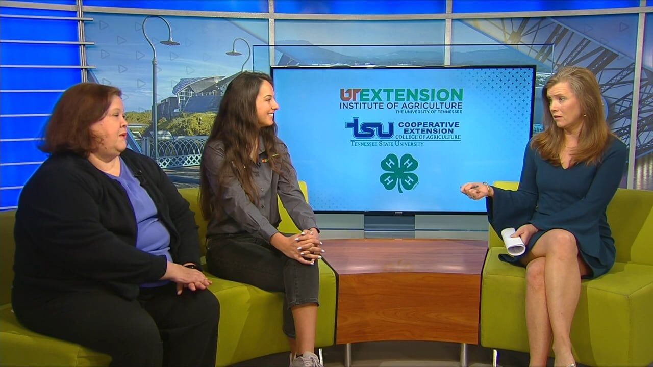 3 Plus Your Community- UT Extension